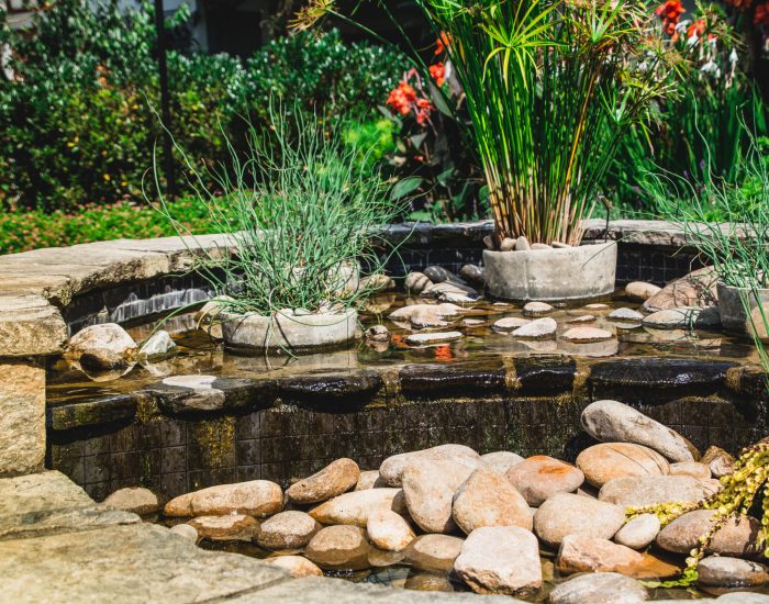 Lush Landscaping Around a Cascading Water in Garden