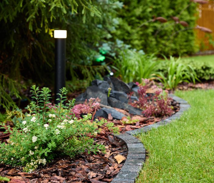 A beautifully picturesque garden filled with an array of vibrant plants and decorative rocks within a lush landscape
