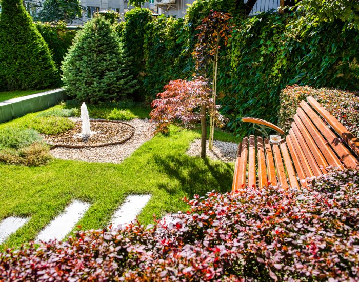 Beautiful backyard landscape design. View of colorful trees and decorative trimmed bushes and rocks